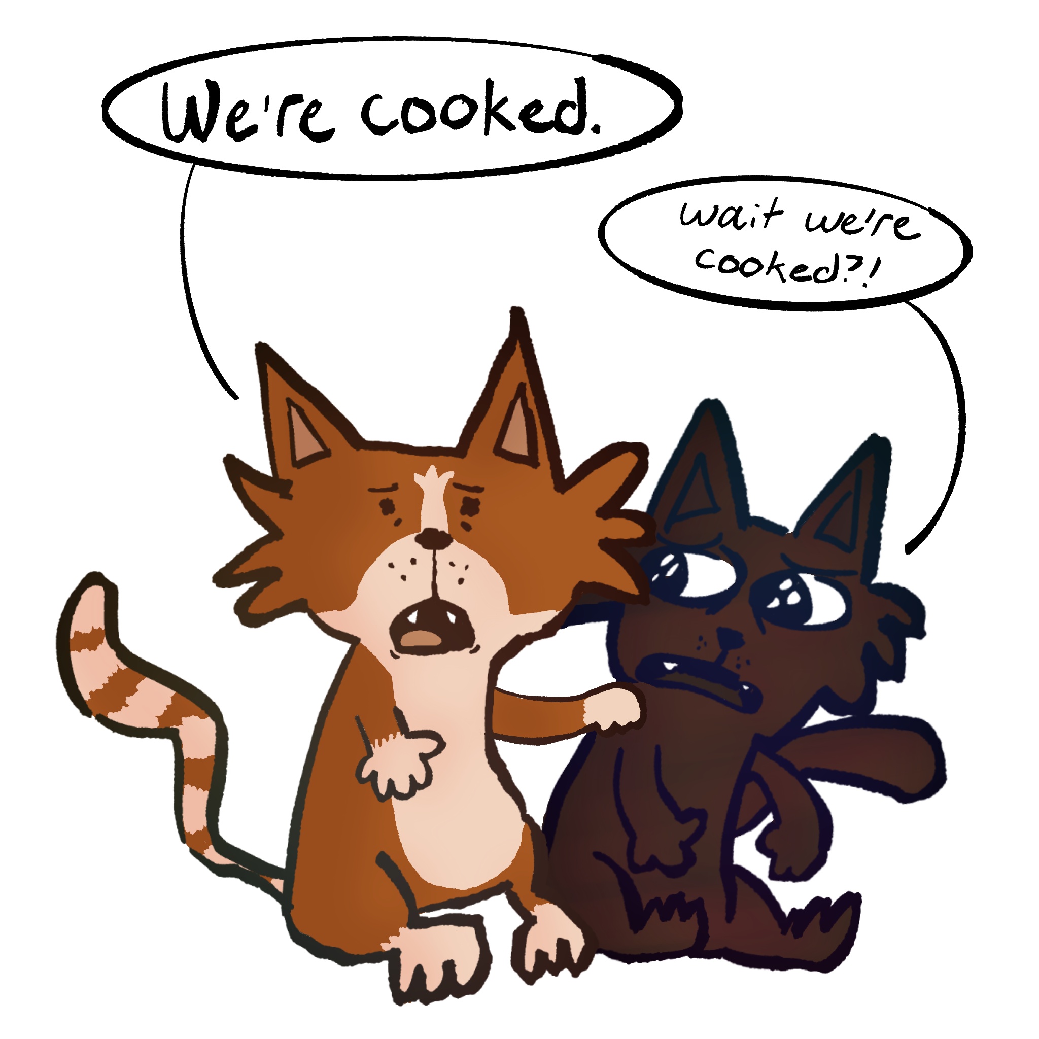 cats that are cooked